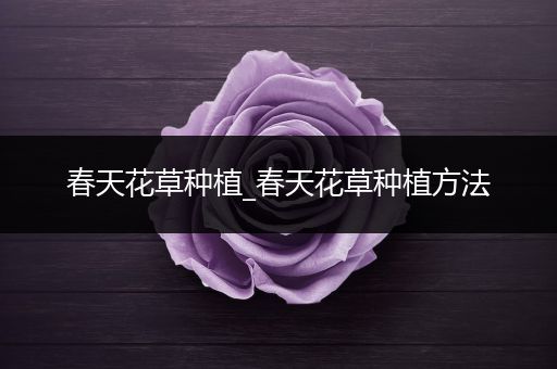春天花草种植_春天花草种植方法