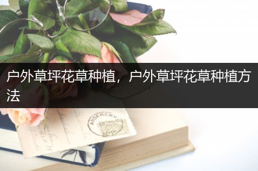 户外草坪花草种植，户外草坪花草种植方法