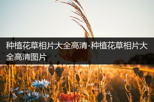 种植花草相片大全高清-种植花草相片大全高清图片