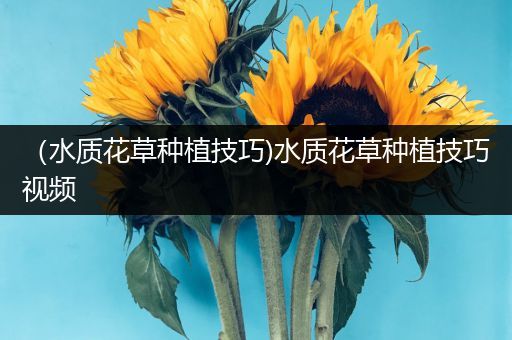 （水质花草种植技巧)水质花草种植技巧视频