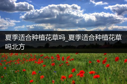 夏季适合种植花草吗_夏季适合种植花草吗北方