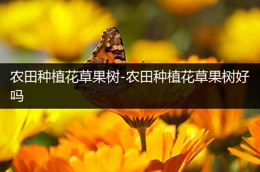 农田种植花草果树-农田种植花草果树好吗