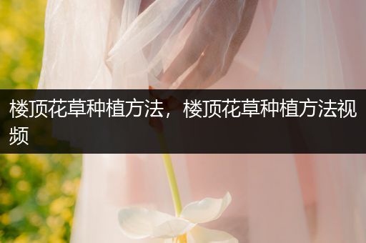 楼顶花草种植方法，楼顶花草种植方法视频