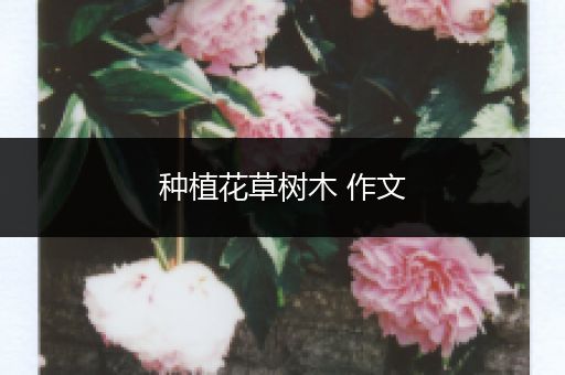 种植花草树木 作文