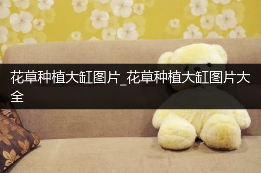 花草种植大缸图片_花草种植大缸图片大全