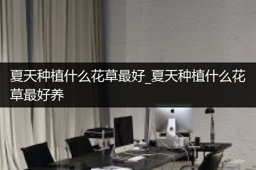 夏天种植什么花草最好_夏天种植什么花草最好养