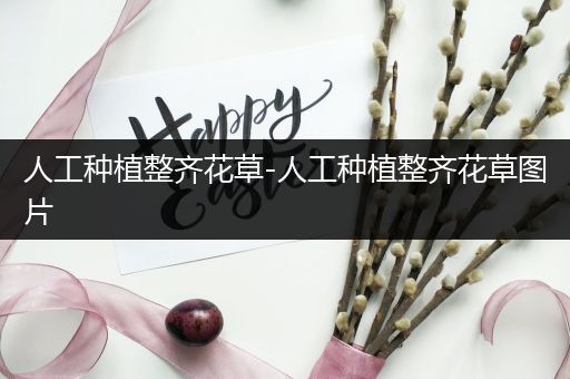 人工种植整齐花草-人工种植整齐花草图片