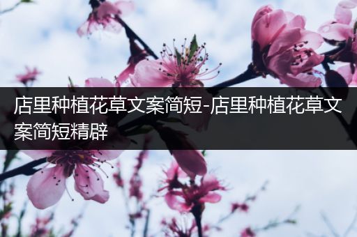 店里种植花草文案简短-店里种植花草文案简短精辟