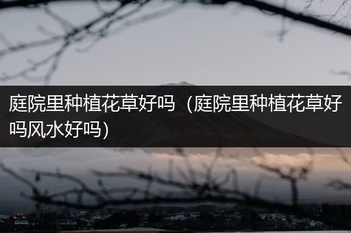 庭院里种植花草好吗（庭院里种植花草好吗风水好吗）