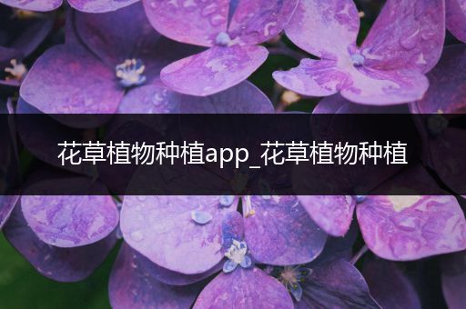 花草植物种植app_花草植物种植