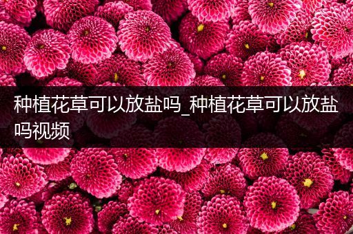 种植花草可以放盐吗_种植花草可以放盐吗视频