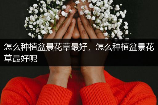 怎么种植盆景花草最好，怎么种植盆景花草最好呢