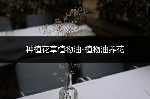 种植花草植物油-植物油养花