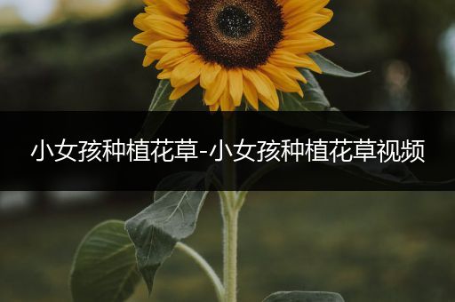小女孩种植花草-小女孩种植花草视频