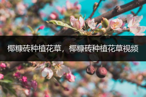 椰糠砖种植花草，椰糠砖种植花草视频