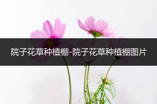 院子花草种植棚-院子花草种植棚图片