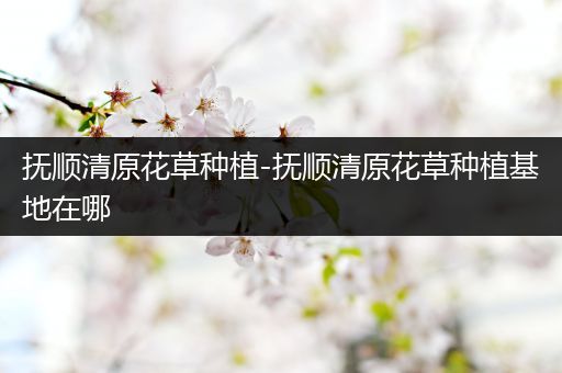 抚顺清原花草种植-抚顺清原花草种植基地在哪