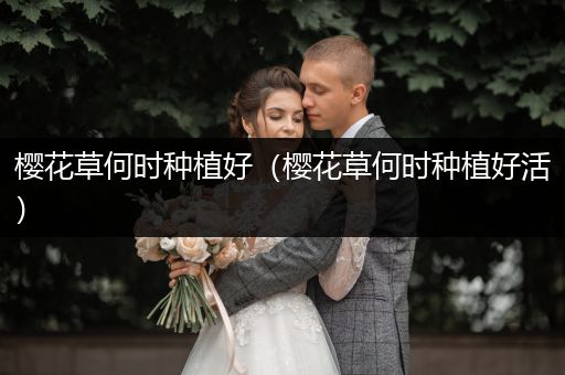 樱花草何时种植好（樱花草何时种植好活）