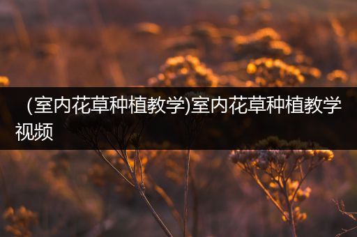 （室内花草种植教学)室内花草种植教学视频