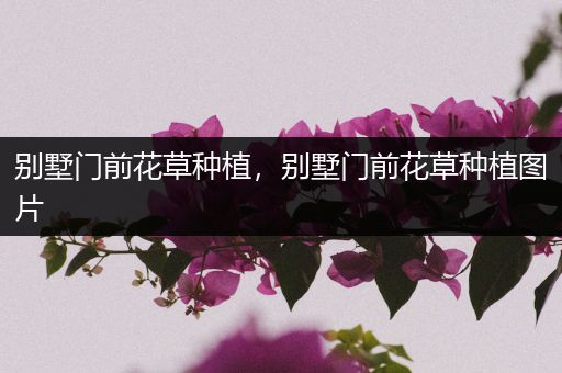 别墅门前花草种植，别墅门前花草种植图片