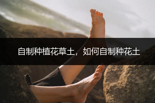 自制种植花草土，如何自制种花土