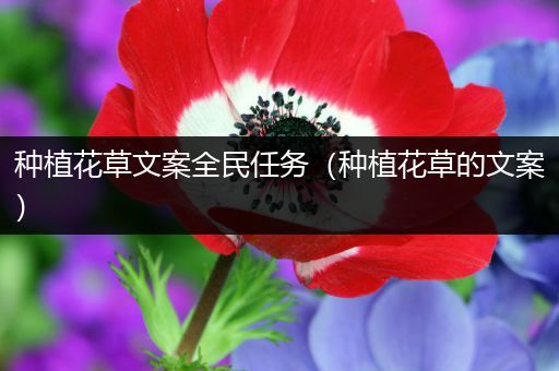 种植花草文案全民任务（种植花草的文案）