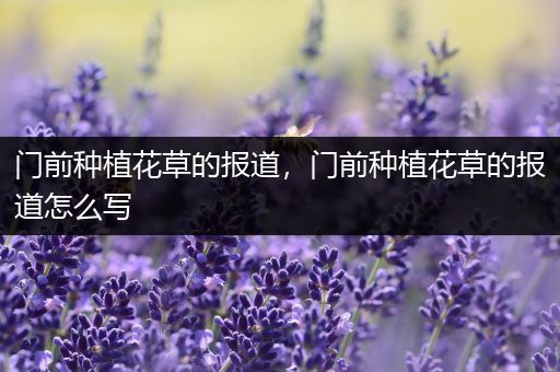 门前种植花草的报道，门前种植花草的报道怎么写