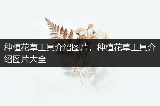 种植花草工具介绍图片，种植花草工具介绍图片大全