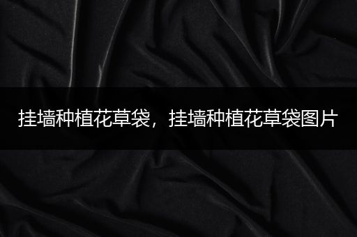 挂墙种植花草袋，挂墙种植花草袋图片
