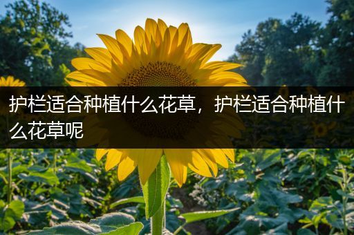 护栏适合种植什么花草，护栏适合种植什么花草呢