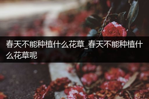 春天不能种植什么花草_春天不能种植什么花草呢
