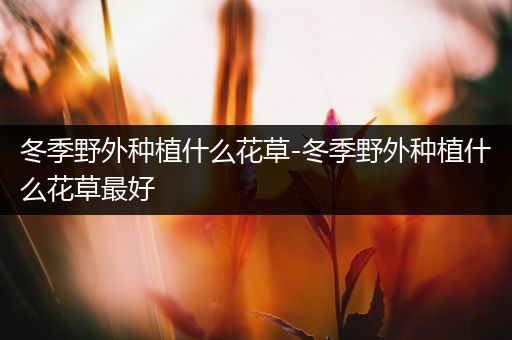 冬季野外种植什么花草-冬季野外种植什么花草最好