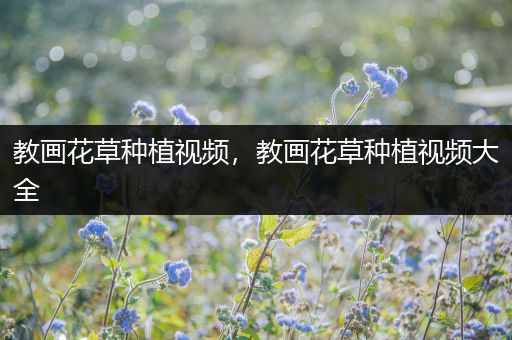 教画花草种植视频，教画花草种植视频大全