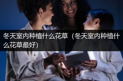 冬天室内种植什么花草（冬天室内种植什么花草最好）