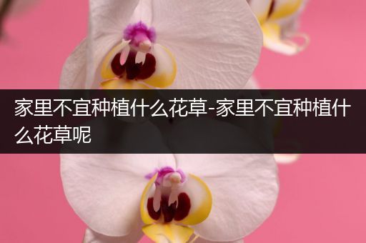 家里不宜种植什么花草-家里不宜种植什么花草呢