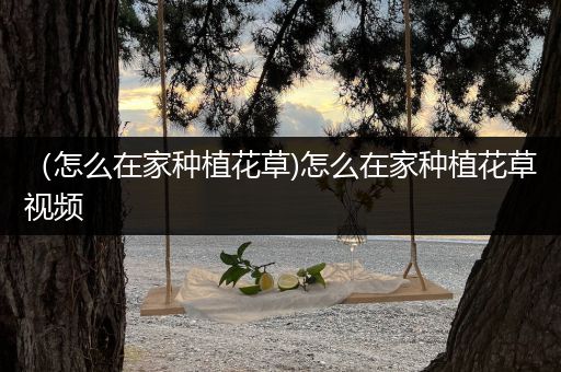 （怎么在家种植花草)怎么在家种植花草视频