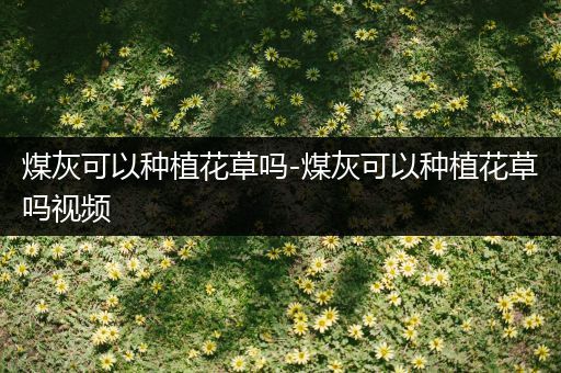 煤灰可以种植花草吗-煤灰可以种植花草吗视频