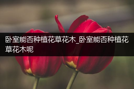 卧室能否种植花草花木_卧室能否种植花草花木呢