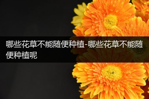 哪些花草不能随便种植-哪些花草不能随便种植呢