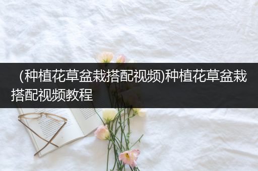 （种植花草盆栽搭配视频)种植花草盆栽搭配视频教程