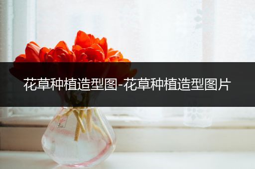 花草种植造型图-花草种植造型图片