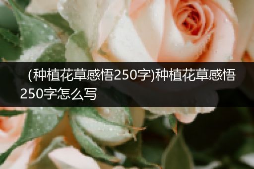 （种植花草感悟250字)种植花草感悟250字怎么写