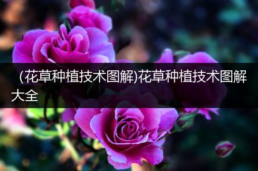 （花草种植技术图解)花草种植技术图解大全