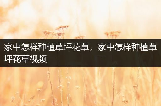家中怎样种植草坪花草，家中怎样种植草坪花草视频