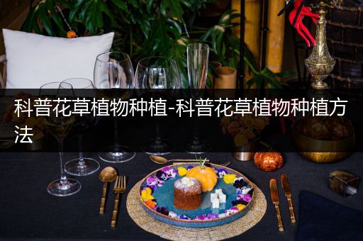 科普花草植物种植-科普花草植物种植方法