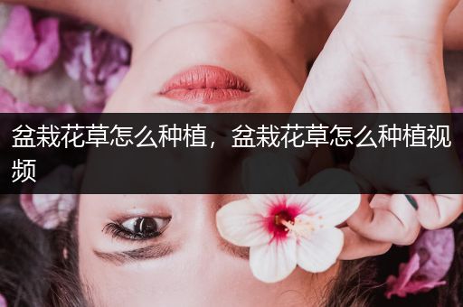 盆栽花草怎么种植，盆栽花草怎么种植视频