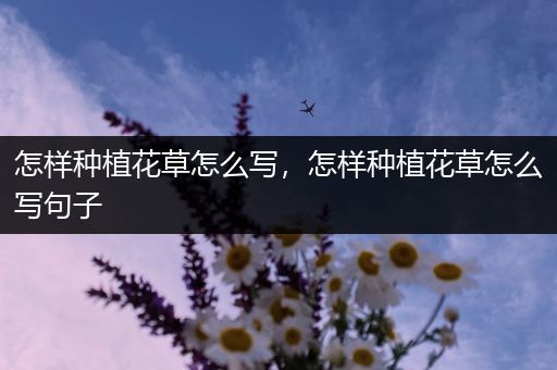 怎样种植花草怎么写，怎样种植花草怎么写句子