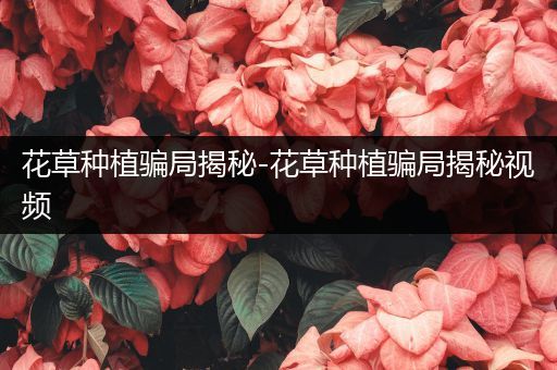 花草种植骗局揭秘-花草种植骗局揭秘视频