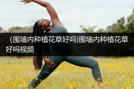 （围墙内种植花草好吗)围墙内种植花草好吗视频