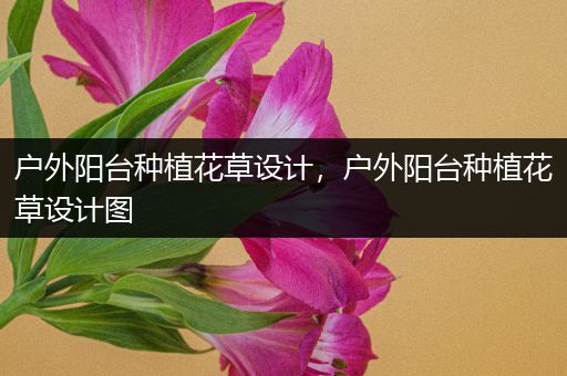 户外阳台种植花草设计，户外阳台种植花草设计图